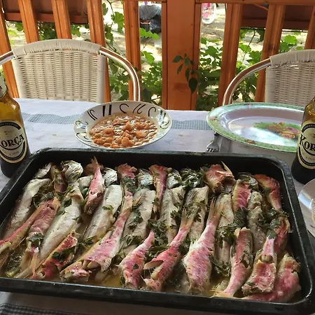 Shtepia E Pishes Dom wakacyjny