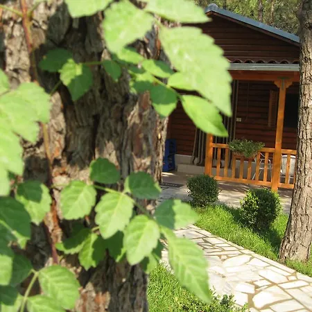 Holiday home Shtepia E Pishes