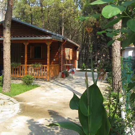 度假居 Shtepia E Pishes